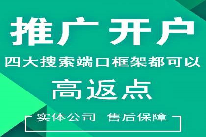 SEM托管服务成功案例：让广告投放更精准、更高效
